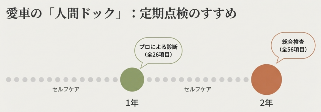 １年、２年の定期点検の図解